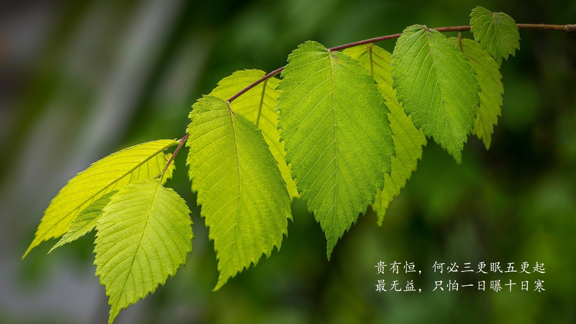 西甲逆转夜，专家剖析球队中场控制与高效进攻的关联，西甲最大逆转夺冠