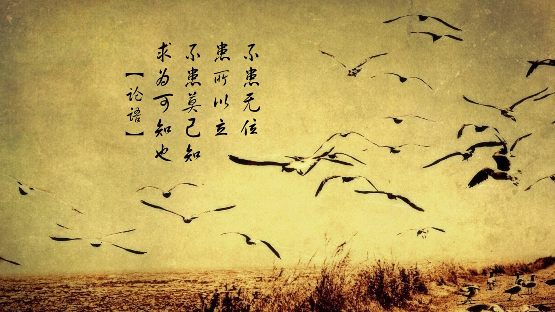 新晋升级赛双雄对决，谁能继续保持优势？，新晋升级赛双雄对决,谁能继续保持优势呢