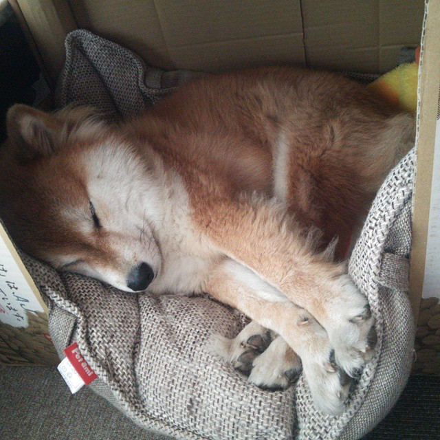 开云·体育全站登录地址-攀岩赛事组织标准化流程发布实施，攀岩赛事组织策划