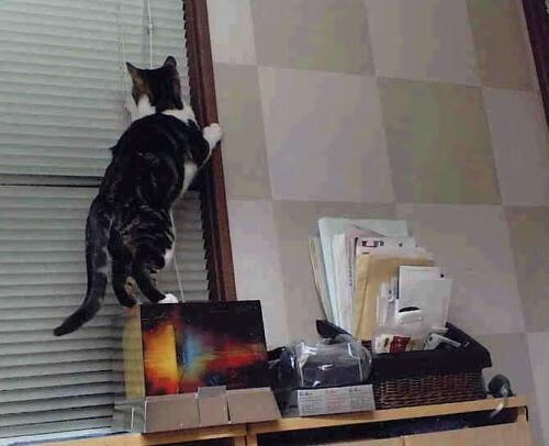 开云入口-波兰队在国际乒联混合团体世界杯中的胜利背后：技术与策略结合