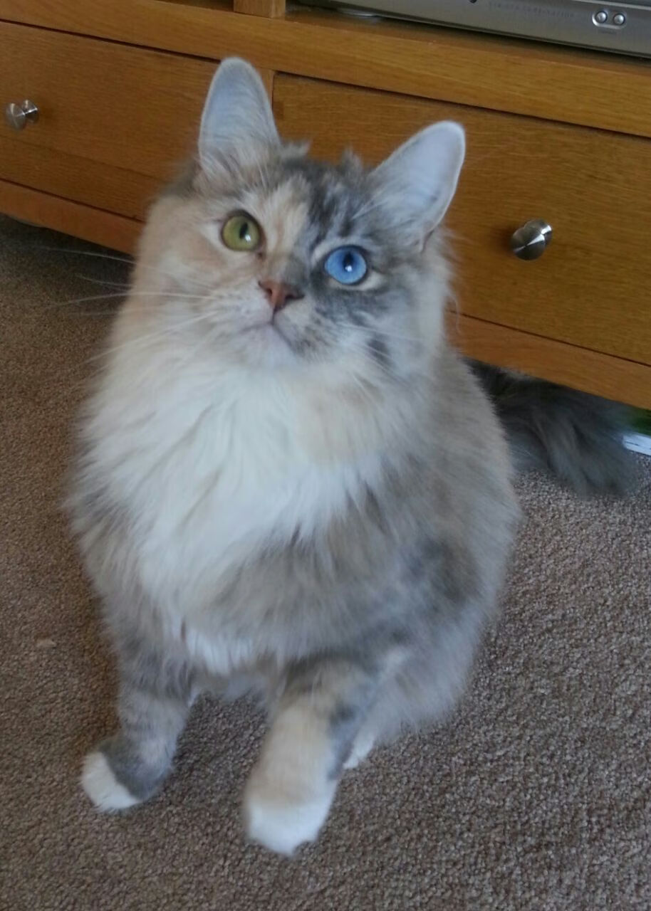 浙江球队青少年篮球培训计划成果显著，浙江省青少年篮球队