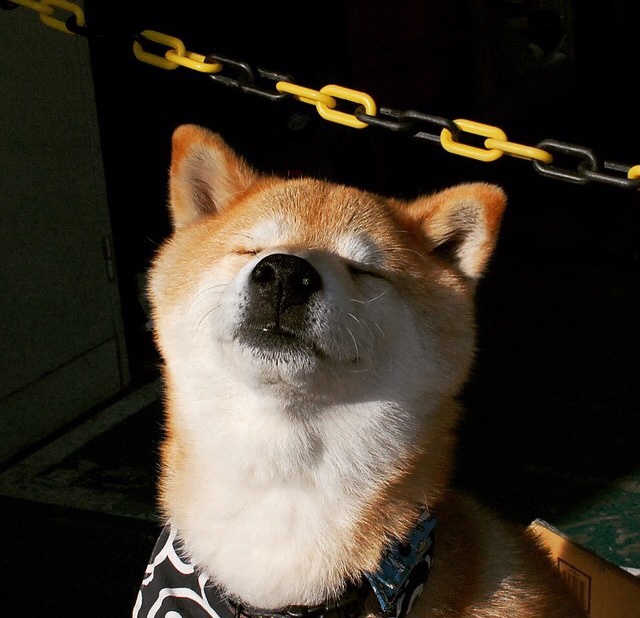 转换进攻中节奏变化如何引发失误，进攻转化率是什么意思