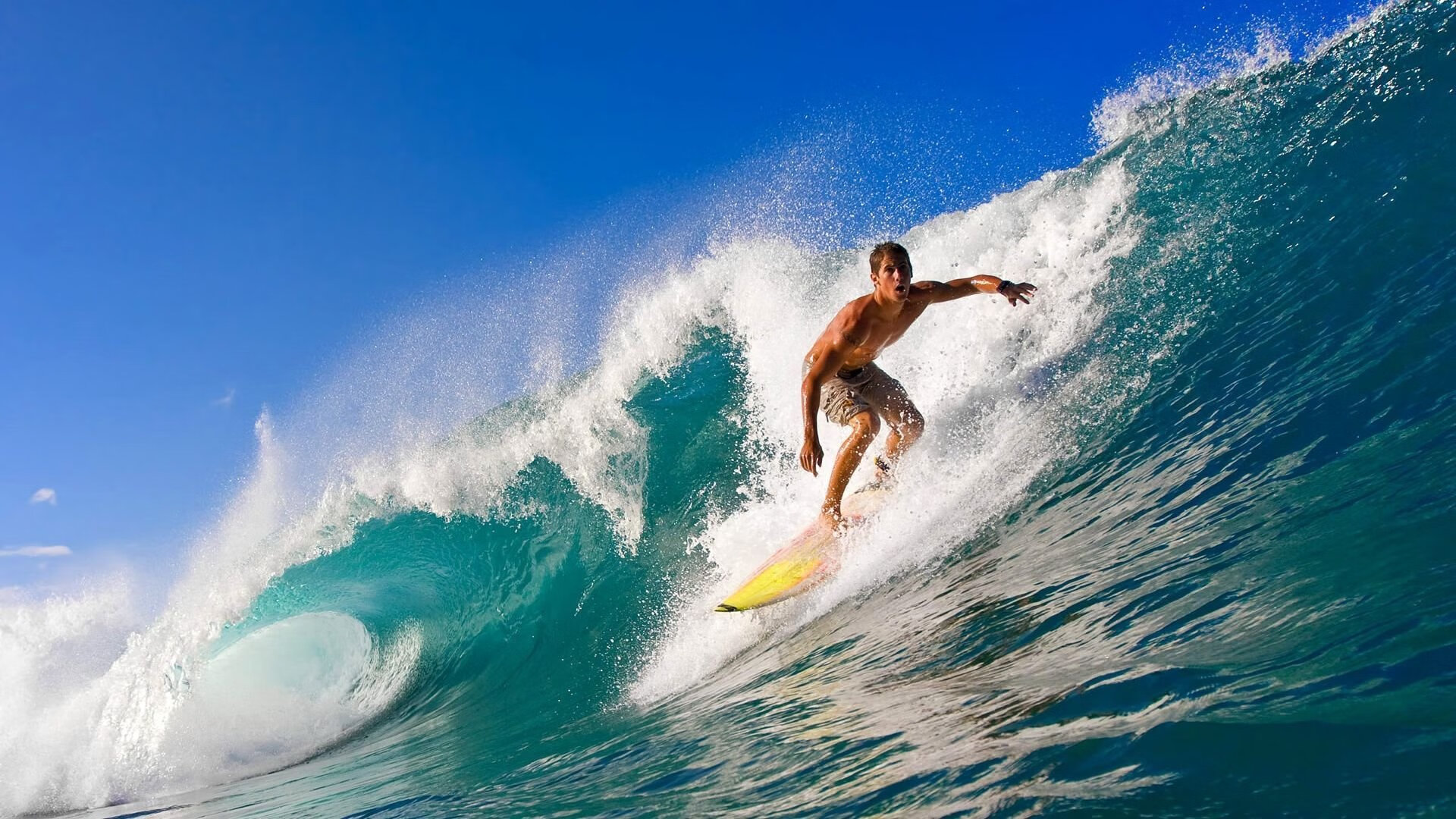 世界杯狂热夜：精彩瞬间点燃全场！，世界杯夜宵