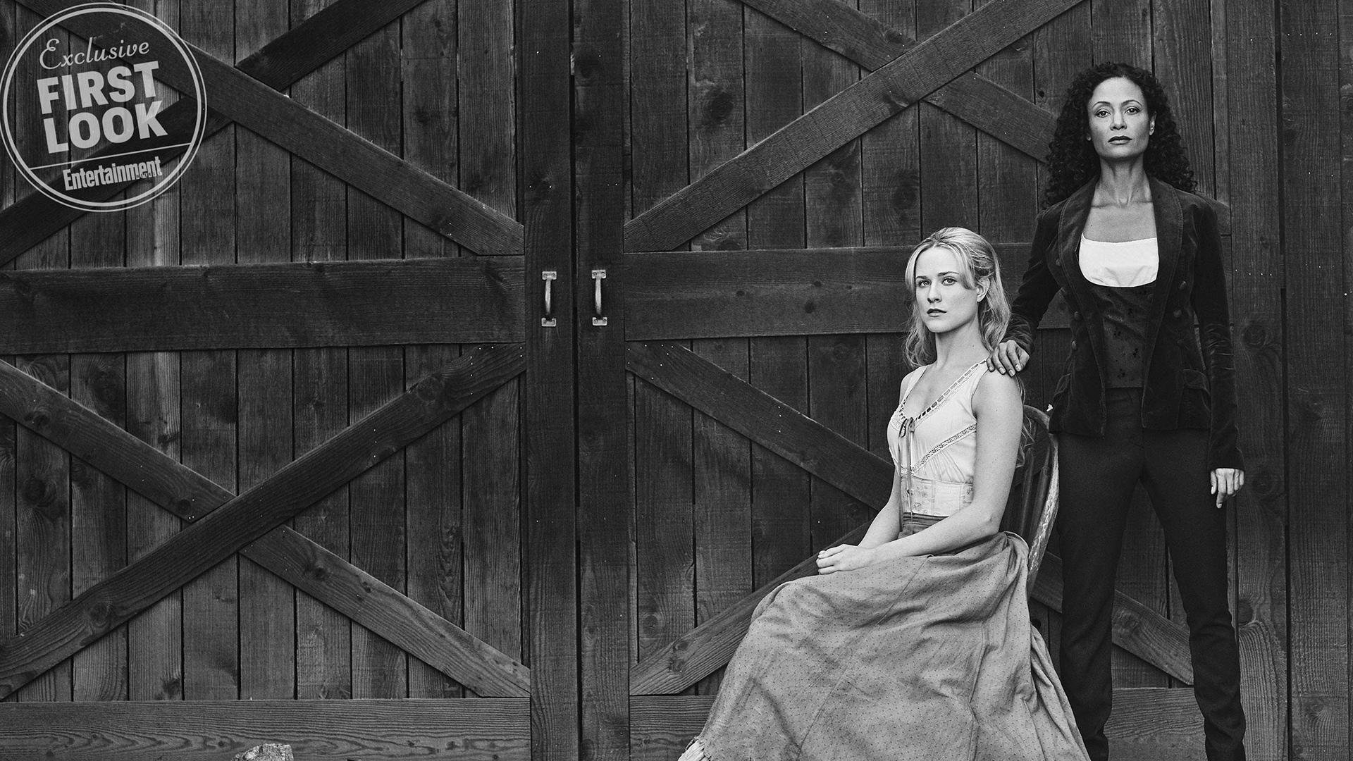 仰泳冲刺波兰选手发挥稳定，仰泳bd