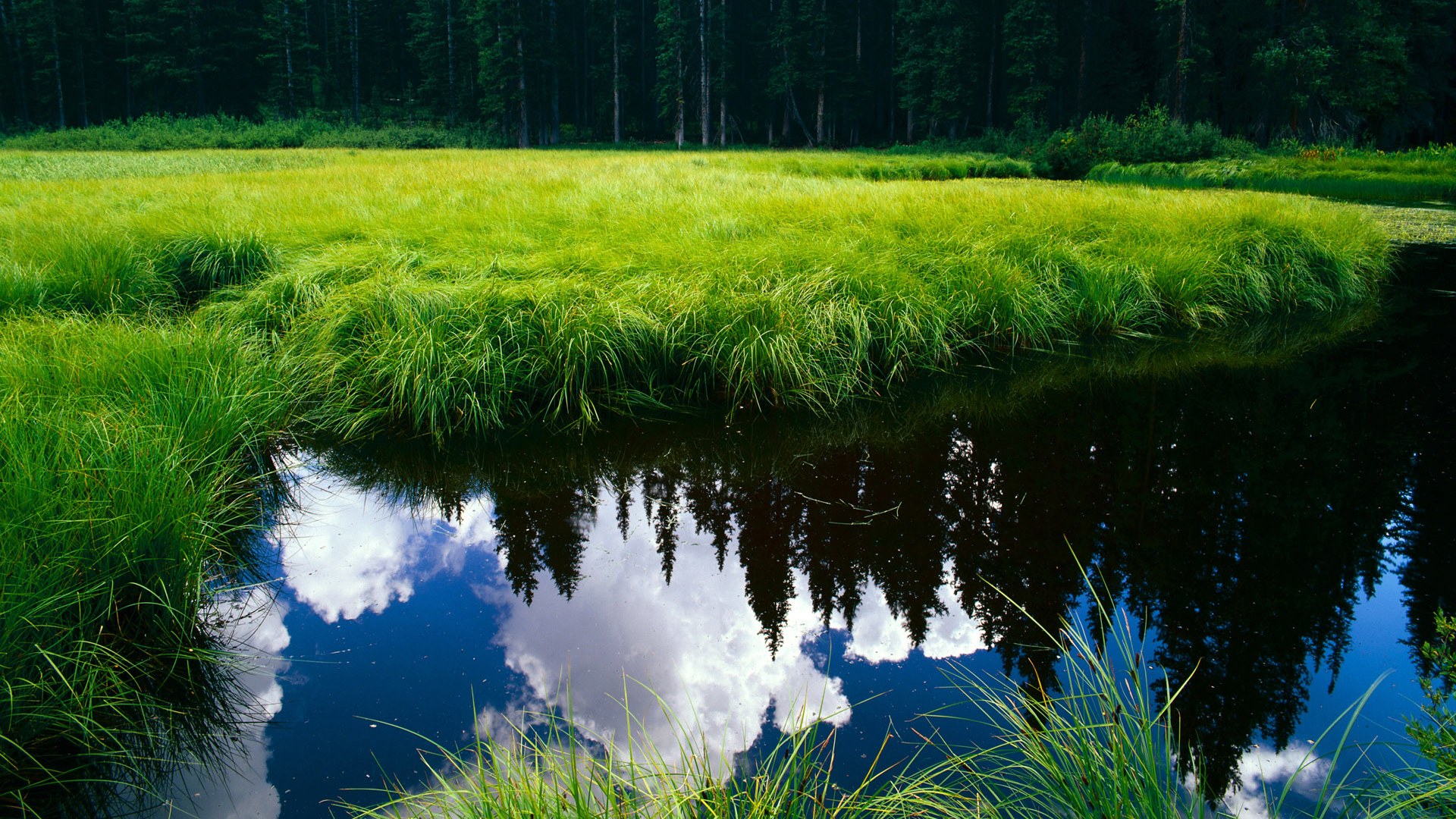 关键时刻体现团队默契，关键时刻体现团队默契的句子