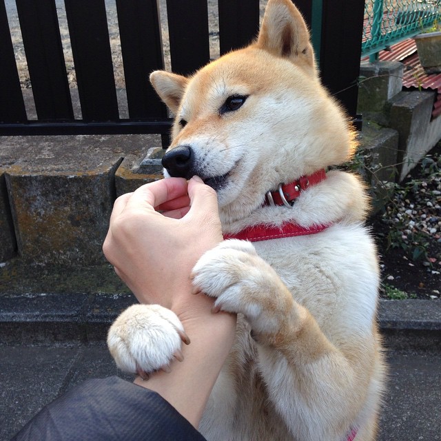 kaiyun开云·官方网站-国家队控球后卫多线轮转提高整体节奏控制能力，控球后卫动作