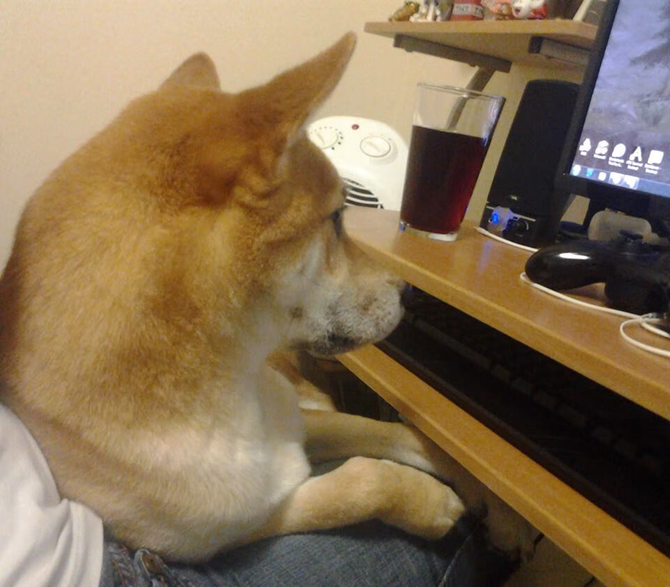 开云网页版登录入口-法甲年轻力量：未来巨星再次闪耀！，法甲最年轻出场球员