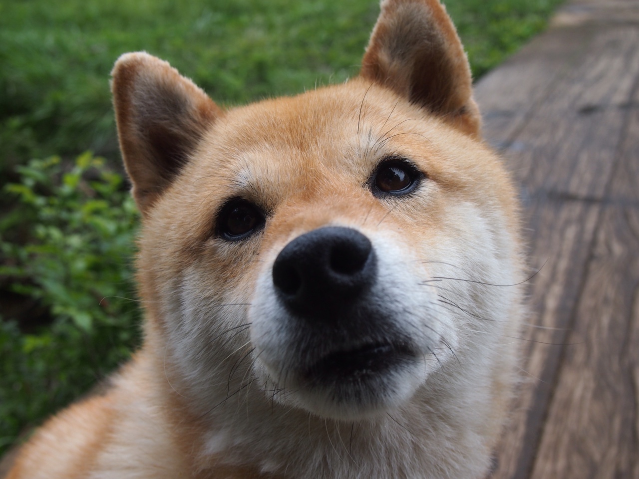 kaiyun开云·官方网站-法甲激情澎湃：许多经典瞬间令人热血沸腾，法甲足球