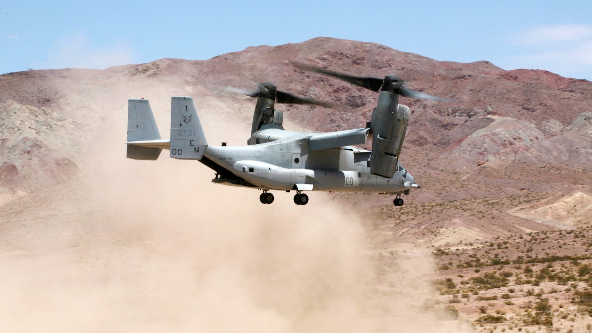 美洲杯明星轮番登场：激情碰撞，精彩纷呈！，美洲杯有哪些明星