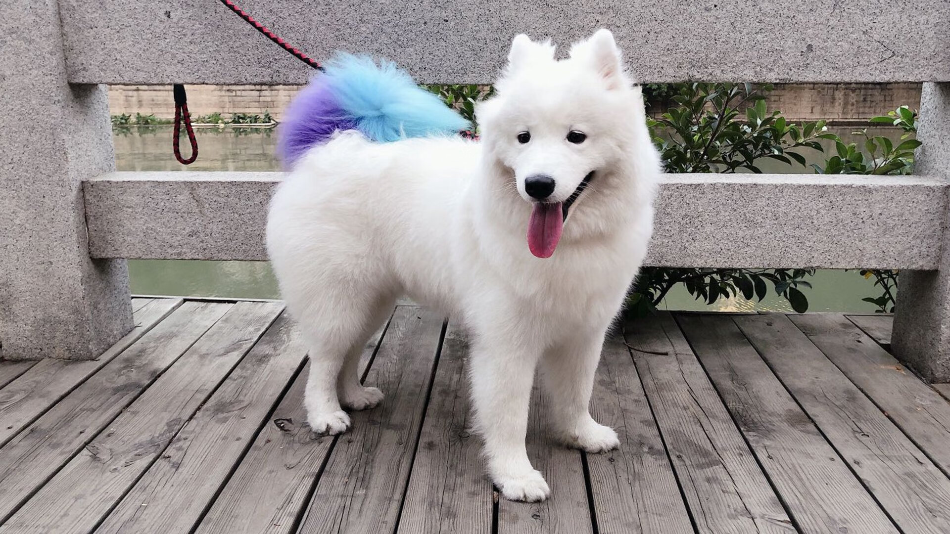 KAIYUNAPP-足球改革方案包含裁判独立委员会提升专业程度，足球体制改革