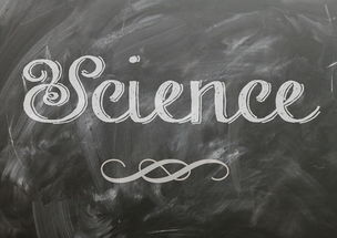 Kaiyun(中国)开云-麦考领袖风范：全黑队胜利的灵魂人物，麦考3个总冠军